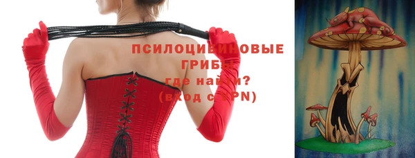эйфоретик Алексин