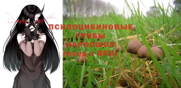эйфоретик Алексин